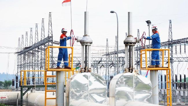 PGE Bukukan Laba bersih Rp2,6 Triliun pada 2024