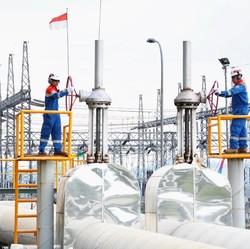 IPO PGE Dipastikan Batal Tahun Ini, Ini Alasannya