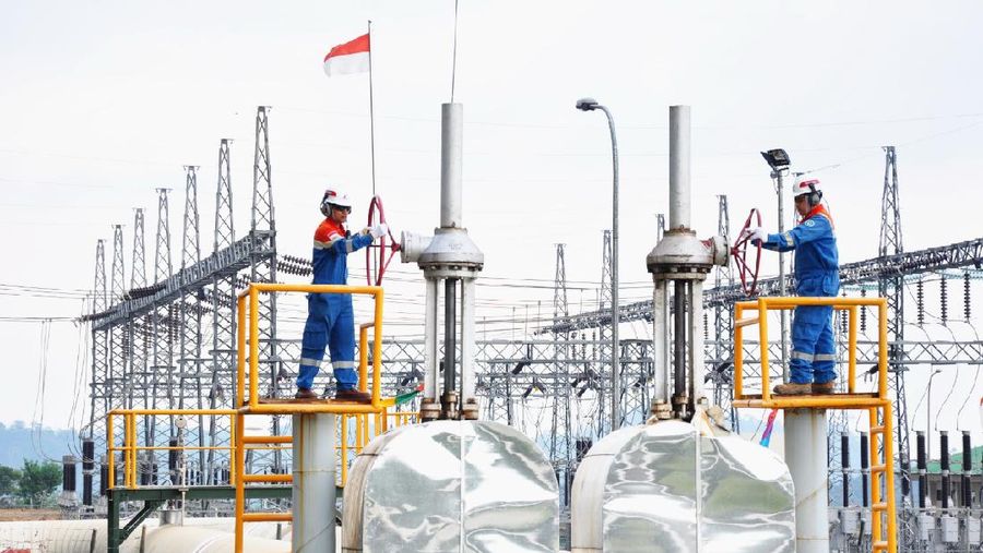PLTP yang dioperasikan PT Pertamina Geothermal Energy (PGE). (Dok: PGE)