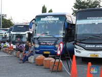 Bisnis Bus di Ambang Bangkrut, Pengusaha: Kami Sakit Parah!