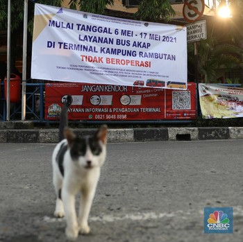 Bak Kuburan, Terminal Bus Kampung Rambutan Sepi Banget!