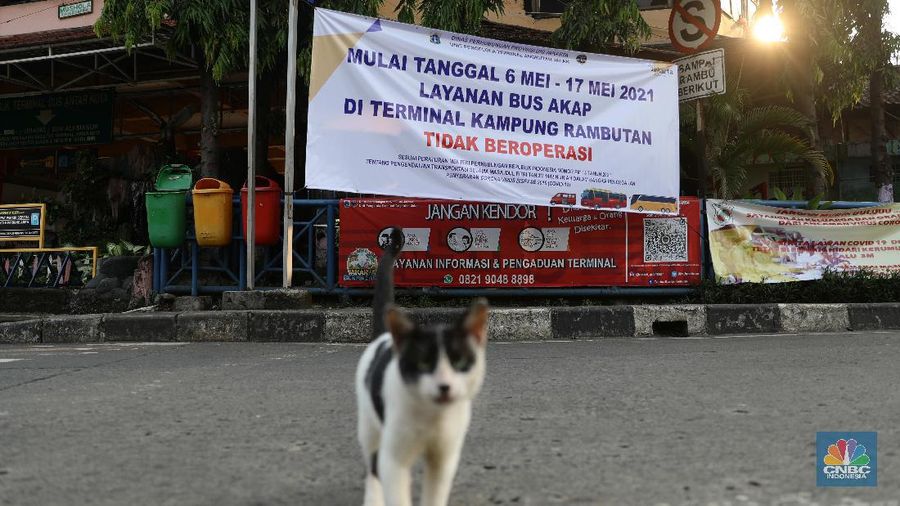 Tembok besar China ramai wisatawan ditengah pandemi. AP/