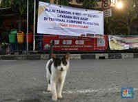 Bak Kuburan, Terminal Bus Kampung Rambutan Sepi Banget!