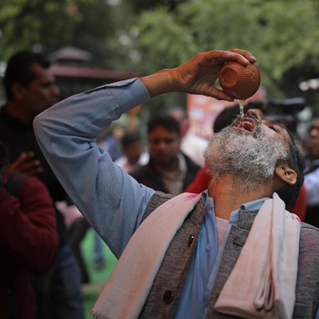 Waduh! Orang India Minum Urin Sapi demi Tangkal Covid-19