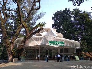 Kabar Terbaru Sidang Gugatan Bunbin Vs Pemkot Bandung