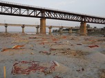 Ngeri 'Tsunami' Covid India, Mayat Dibuang ke Sungai Gangga