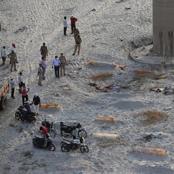 Miris, Viral Video Jenazah Covid India Dimakan Anjing Liar