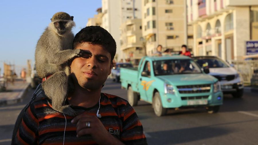 A Palestinians man plays with his child as the family enjoys a day at the beach of the Mediterranean sea in Gaza City, Friday, Sept. 18, 2020. (AP Photo/Hatem Moussa)