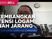 Dorong Investasi Minerba, RI Lirik Potensi Logam Tanah Jarang