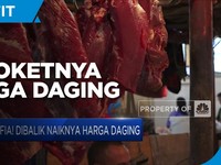 Mafia! di Balik Meroketnya Harga Daging Sapi