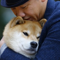 Dear SHIBArmy, Ini Dia Penyebab Kripto Shiba Inu Anjlok