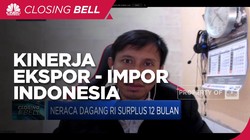 Ekonom: Kasus Covid-19 Kuat Pengaruhi Kinerja Ekspor-Impor RI