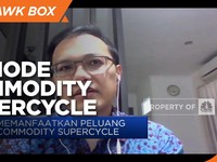 Ekonom: Periode Supercycle Tergantung Perkembangan Covid-19