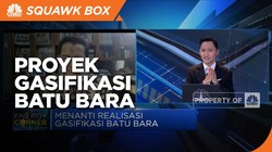 Jamin Bahan Baku,Proyek Gasifikasi Batu Bara Butuh Aturan DMO