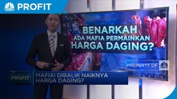 Mafia! Dibalik Naiknya Harga Daging?