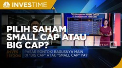 Pasar Saham Anjlok, Pilih Saham Small Cap atau Big Cap?