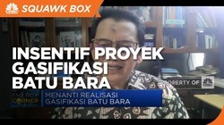 Pengamat Soal Obral Insentif di Proyek Gasifikasi Batu Bara