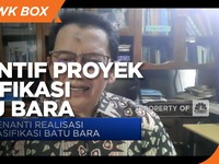 Pengamat Soal Obral Insentif di Proyek Gasifikasi Batu Bara