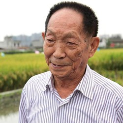 Petani China Temukan Beras Super, Jutaan Orang Jadi Tak Mati Kelaparan