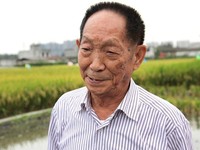 Petani China Temukan Beras Super, Jutaan Orang Jadi Tak Mati Kelaparan
