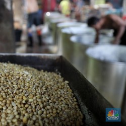 Belum Jinak, Ramalan Seram Harga Kedelai Makin Melonjak