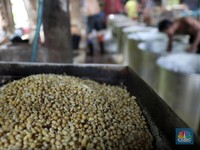Fenomena China Borong Pangan, RI Perlu Tiru