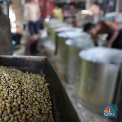Drama Harga Kedelai Belum Usai-Usai, Salah Siapa?