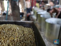 Stok Kedelai Beneran Tipis? Begini Kata Kepala Badan Pangan