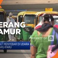 India Diserang Wabah 