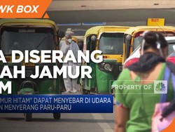 India Diserang Wabah "Jamur Hitam"