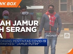 Setelah "Jamur Hitam", Muncul "Jamur Putih" di India