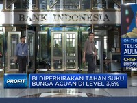 BI7DRR Diproyeksi Tetap 3,5%, Kata Ekonom Ini Pertimbangannya