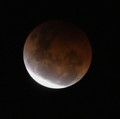 Gerhana Bulan 19 November di RI, Ini Lokasi & Cara Lihatnya
