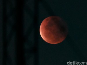 Link Live Streaming Gerhana Bulan Total 3 Maret 2026