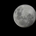 Elon Musk Ditendang, NASA Bisa Tetap Pergi ke Bulan