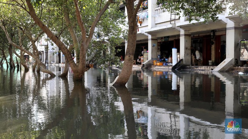 Banjir rob di kawasan Muara Baru, Jakarta Utara, Kamis, (27/5/2021). (վ/Muhammad Sabki)