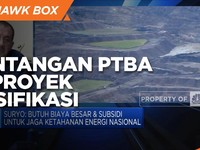 Penguasaan Teknologi, Tantangan PTBA di Proyek Gasifikasi