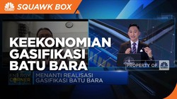 Stafsus Menteri ESDM Soal Keekonomian Gasifikasi Batu Bara