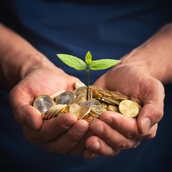 Cuan 10% dalam 7 Bulan, Investasi Ini Lebih Aman dari Saham?