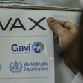 Help! WHO Butuh Dana Distribusi Vaksin COVAX Rp 28 T