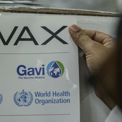 Help! WHO Butuh Dana Distribusi Vaksin COVAX Rp 28 T