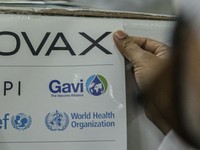 Help! WHO Butuh Dana Distribusi Vaksin COVAX Rp 28 T