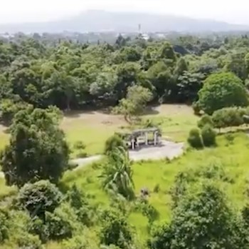 Dear Warga Bogor, Yuk Intip Potret Kebun Raya Cibinong
