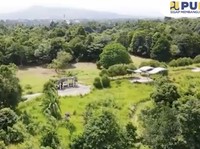 Dear Warga Bogor, Yuk Intip Potret Kebun Raya Cibinong