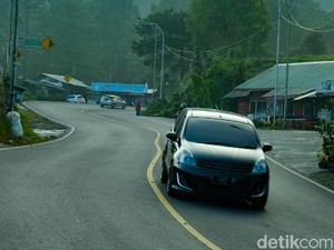 Pemkab Bogor Lanjutkan Penertiban Kawasan Wisata, dari Gantole - Puncak Pass