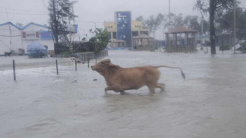 Topan Yaas di India. (AP/Ashim Paul)
