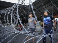 Parah! Malaysia Lockdown, Harga CPO Jeblok ke Nilai Terendah