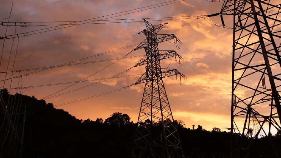 PLN