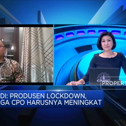 Ekonom: Harga Fundamental CPO di Kisaran USD 800 per Ton