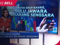 Emiten Grup Bakrie, Dulu Jawara Sekarang Sengsara